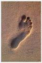 Footprint